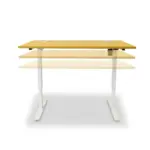 Electric Ergolift Height Adjustable Desks