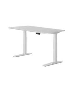 Flexispot Height Adjustable Desk
