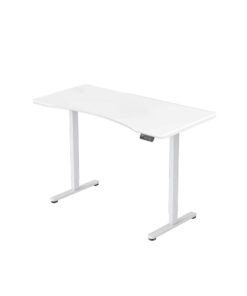 Flexispot Height Adjustable Desk Copy