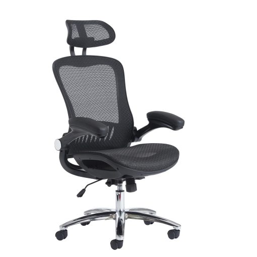 Curva mesh back Executive Chairs | DM