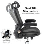 Curva mesh back Executive Chairs | DM