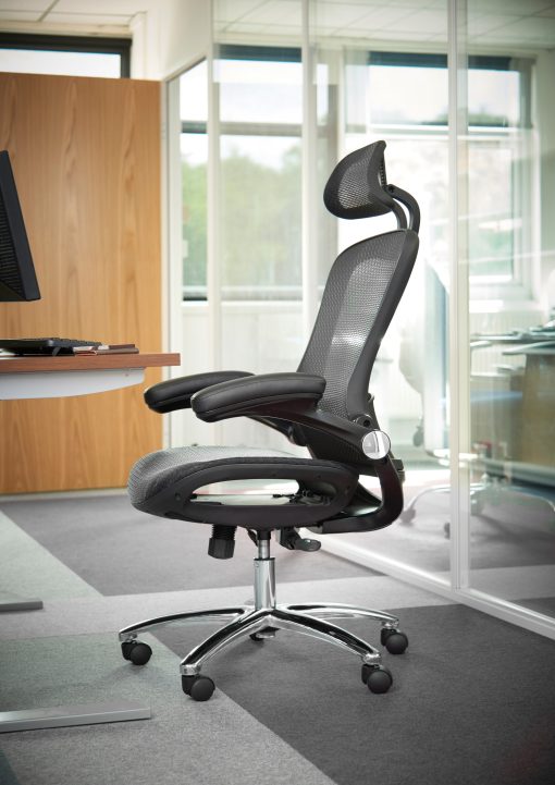 Curva mesh back Executive Chairs | DM