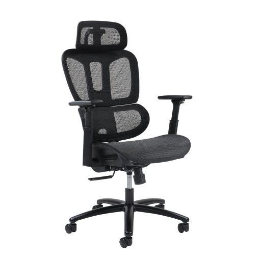 Zala mesh back Executive Chairs | DM