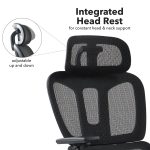 Zala mesh back Executive Chairs | DM