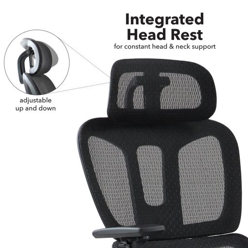 Zala mesh back Executive Chairs | DM