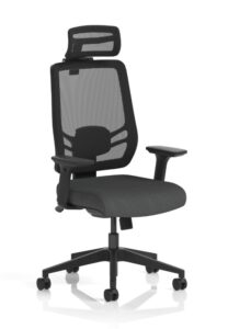 Ergo Twist Office Chairs