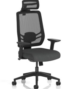 Ergo Twist Office Chairs