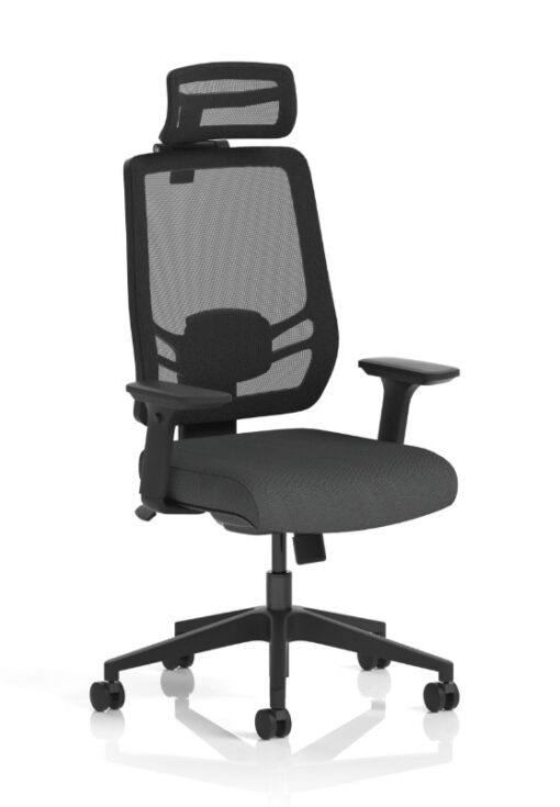 Ergo Twist Office Chairs