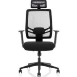 Ergo Twist Office Chairs