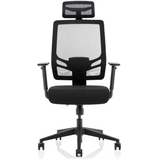 Ergo Twist Office Chairs