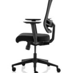 Ergo Twist Office Chairs