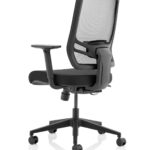 Ergo Twist Office Chairs