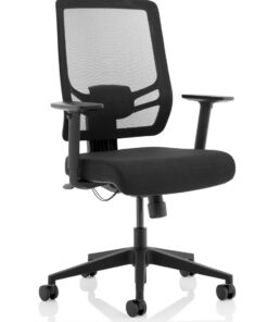 Ergo Twist Office Chairs