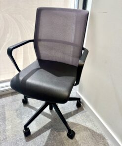 Senator Leather Circo Chairs