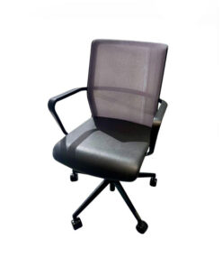 Senator Leather Circo Chairs