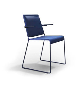 ICF FIN Conference Chairs